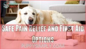 safe pain relief and first aid options