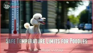 safe temperature limits for poodles