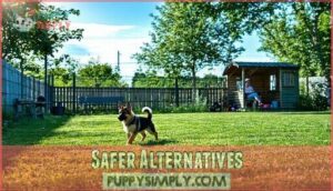 safer alternatives