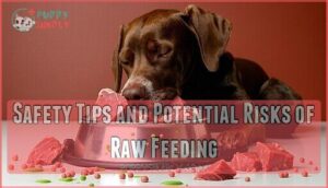 safety tips and potential risks of raw feeding