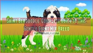 saint berdoodle