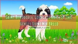 saint berdoodle