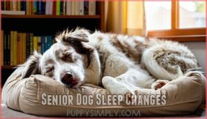 senior dog sleep changes