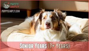 senior years (7+ years)