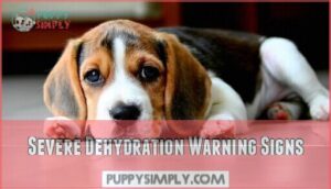severe dehydration warning signs