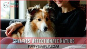 shelties' affectionate nature