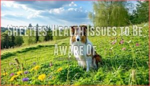 shelties' health issues to be aware of