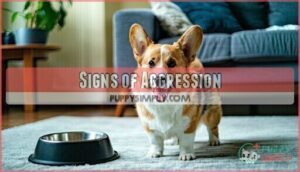 signs of aggression signs of aggression