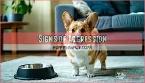 signs of aggression