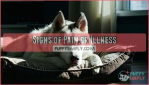 signs of pain or illness
