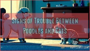 signs of trouble between poodles and cats