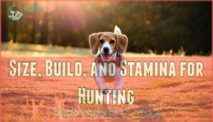 size, build, and stamina for hunting