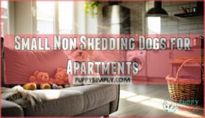 small non shedding dogs for apartments