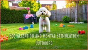 socialization and mental stimulation outdoors
