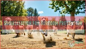 socialization for boredom prevention