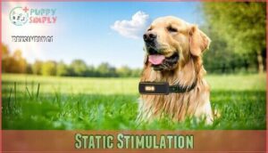 static stimulation