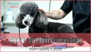 step-by-step body clipping guide
