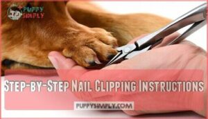 step-by-step nail clipping instructions