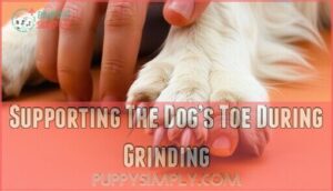 supporting the dog’s toe during grinding