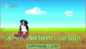 switching your berner's food safely