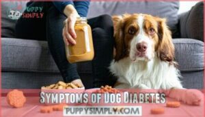 symptoms of dog diabetes