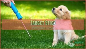 target stick