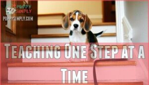 teaching one step at a time