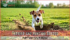 terrier and hunting breeds