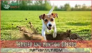 terrier and hunting breeds terrier and hunting breeds