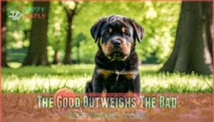 the good outweighs the bad