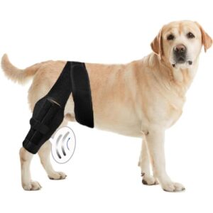 Tinzum L Dog Leg Braces B0FKTH7Y97