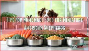 tips for homemade food for miniature american shepherds
