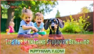 tips for managing stubborn behavior