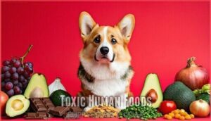 toxic human foods
