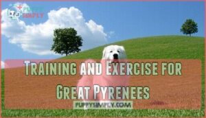 training and exercise for great pyrenees