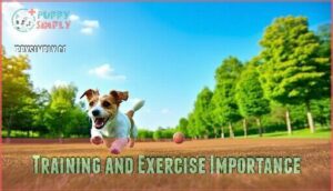 training and exercise importance