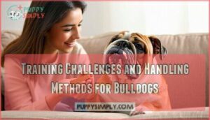 training challenges and handling methods for bulldogs
