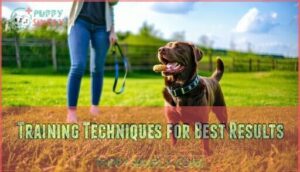 training techniques for best results