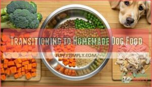 transitioning to homemade dog food