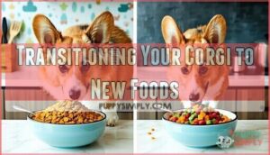 transitioning your corgi to new foods