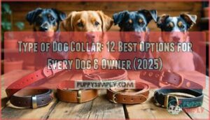 type of dog collar