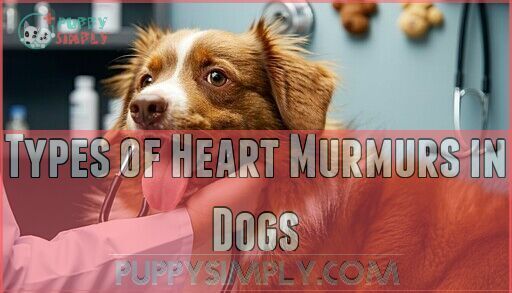 Heart Murmur in Dogs: Causes, Symptoms & Treatment Options Explained