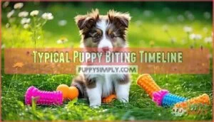 typical puppy biting timeline
