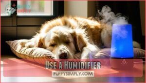 use a humidifier