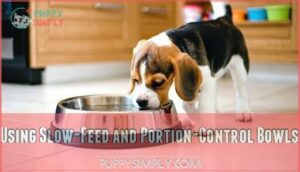 using slow-feed and portion-control bowls