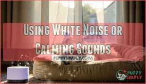 using white noise or calming sounds