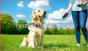 vibration and tone options