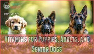 vitamins for puppies, adults, and senior dogs