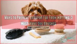 ways to prevent cavapoo fur from matting 3 must have dog brushes that work