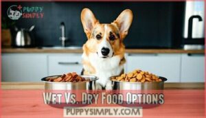 wet vs. dry food options
